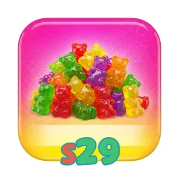 s29